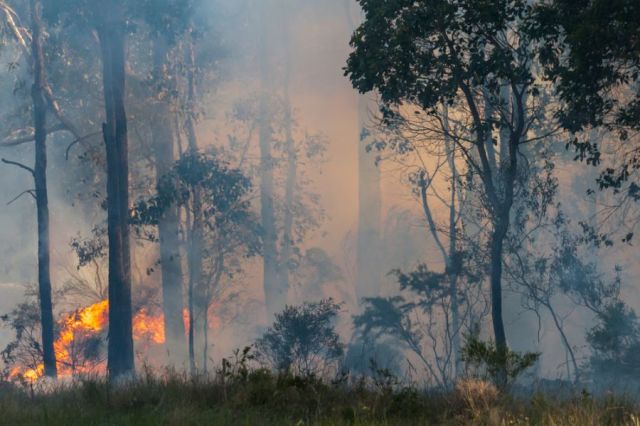 Most Australian Ski Areas Threatened by Bush Fires