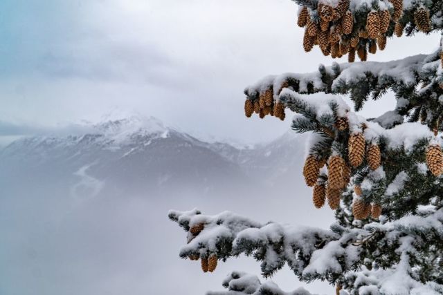 Snow Falls as French Resorts Wait to Hear Details of Xmas Closure Plans