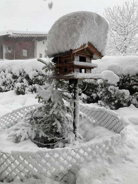 Major Snowstorm In the Alps