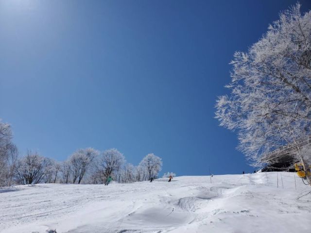 Police Officer Suspended for Snowboarding Whilst On Duty