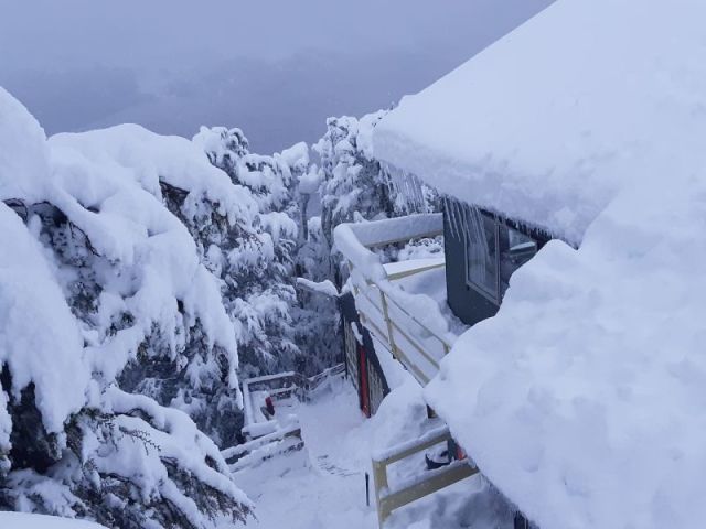 Major Snowstorm Hits New Zealand