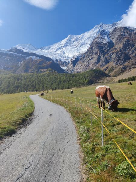 Saas Fee Opens Glacier For Autumn Skiing To All