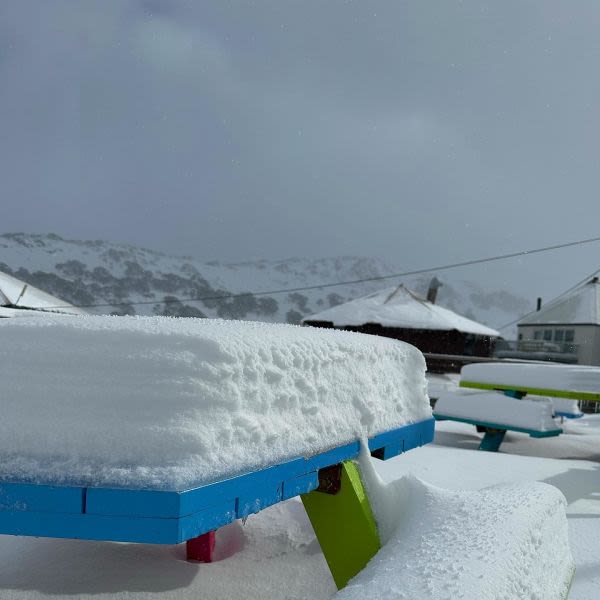 Australia’s Snow in Summer Event Loses Novelty as it Keeps Snowing