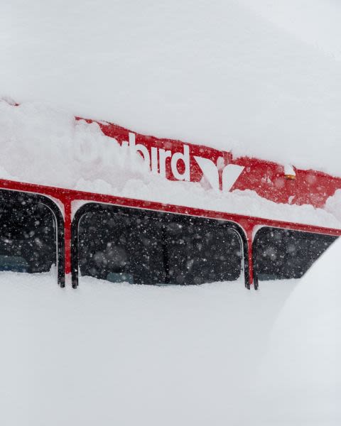 State of Avalanche Emergency Declared in Utah Ski Valley