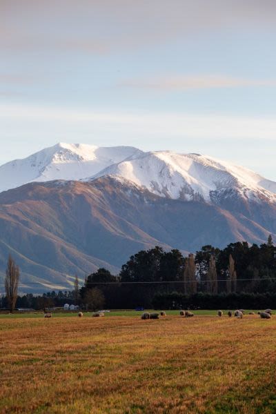 New Zealand Ski Areas Re-opening