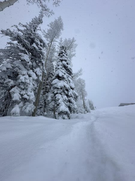 Much Needed Snowfalls Bring Powder Conditions to North America