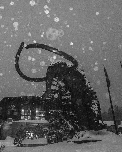 California Ski Areas Back on Track