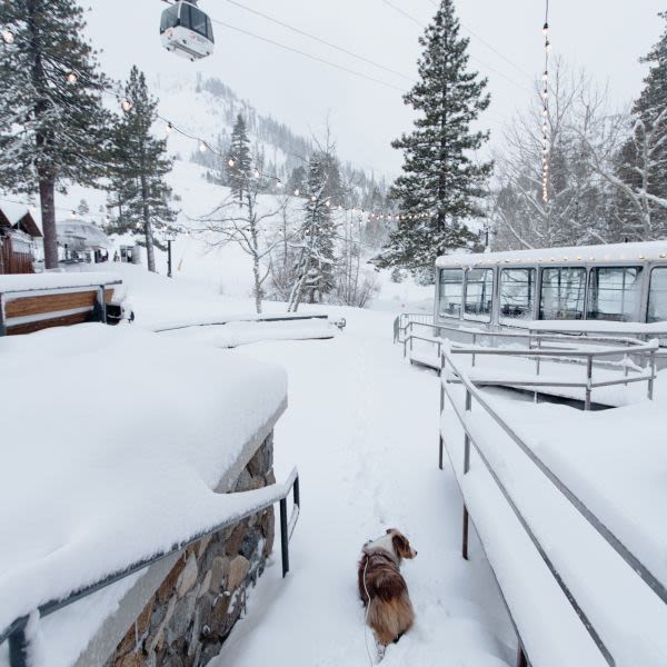 Another Major Snowstorm Hitting US West