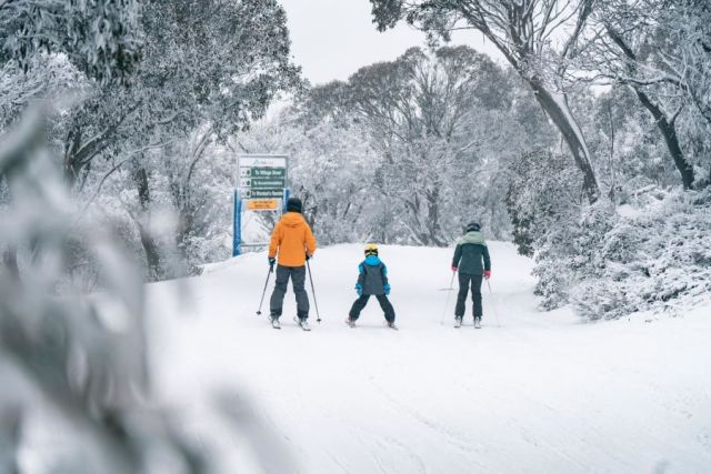 Upto 50cm of Snowfall Forecast For Australian Resorts 