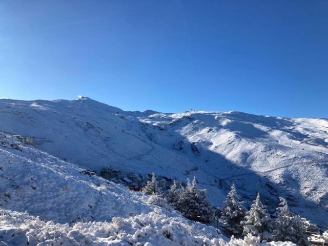 Spanish Snow