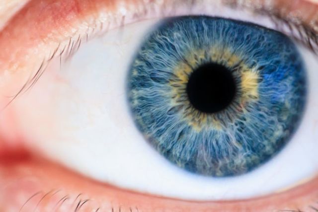 Biometric Checks For Brits Entering EU To Begin in October