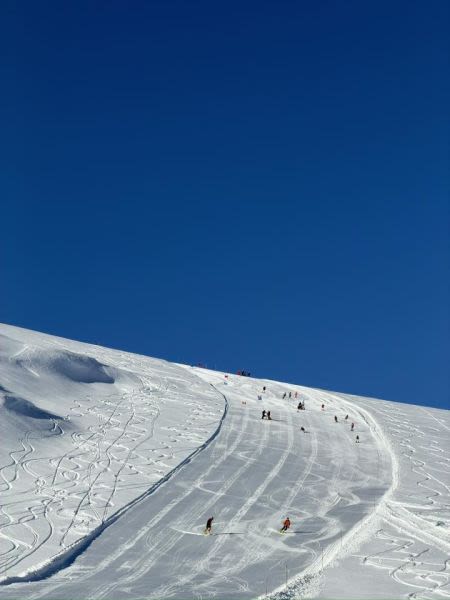 Switzerland Overtakes Austria To Report Most Open Areas in World