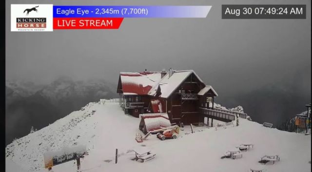Summer Snow On Canadian Peaks