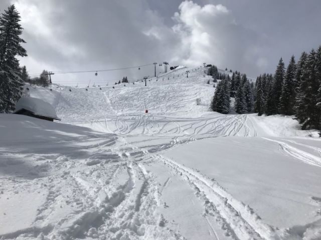 Re:So where are you skiing this coming winter?