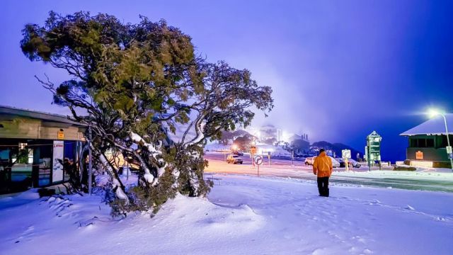 Early Season conditions improving 'Down Under' in Australia and New Zealand