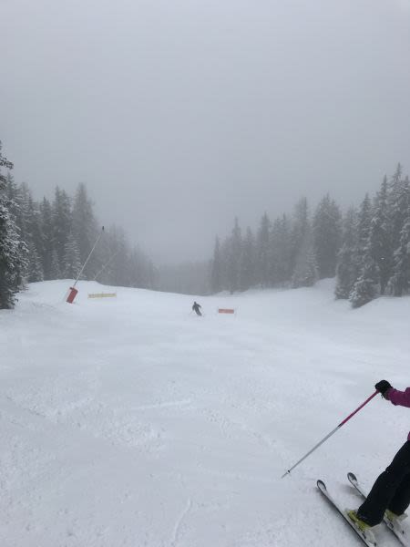 Re:Les Arcs Snow Reports - March 2018