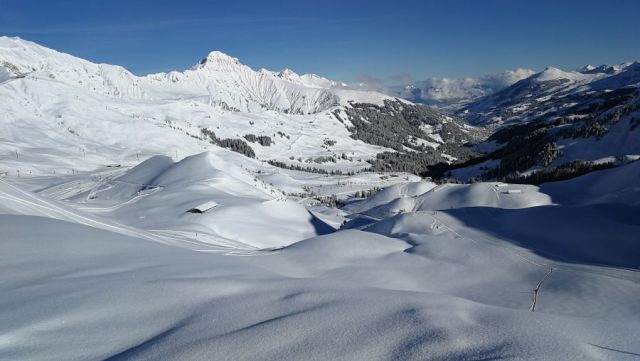 Adelboden-Lenk Snow Reports - February 2019