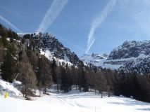 Champoluc Snow Reports - January 2020