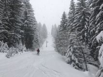 La Tania Snow Reports - March 2019