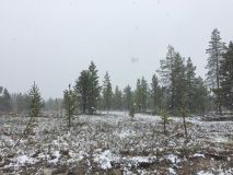 Snow in Lapland For The Start of Summer