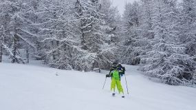 Up to 50cm of Snow in 24 Hours in Southern Alps