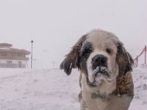 Andes Snowstorm Total Passes 50cm