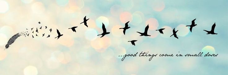 Test Course