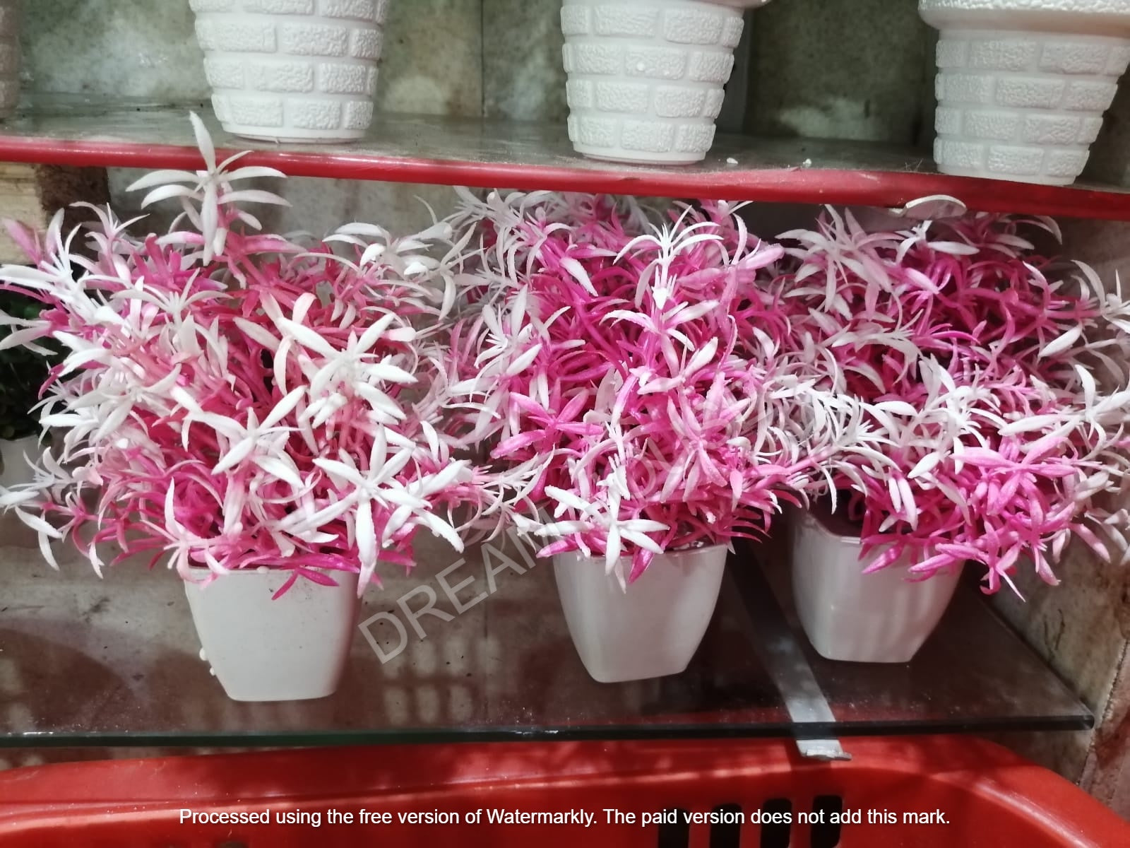 Mini Artificial Flowers & Plants Pack OF 4