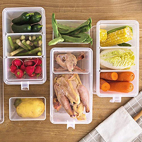 3 Section Food Box