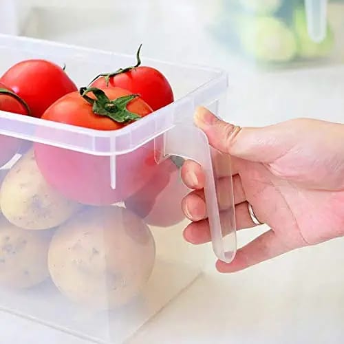 3 Section Food Box