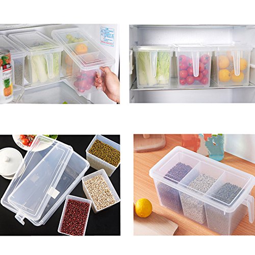 3 Section Food Box