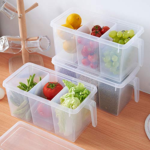 3 Section Food Box