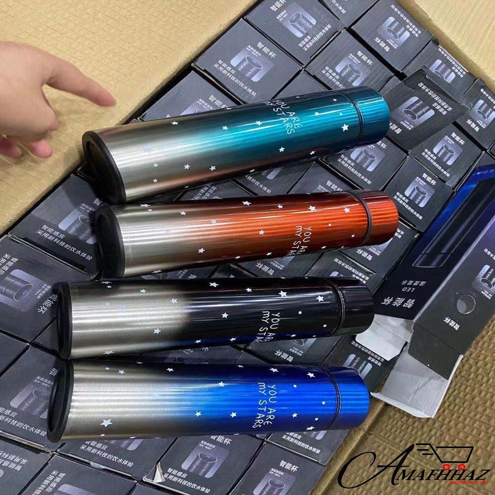 Temperature Water Bottle