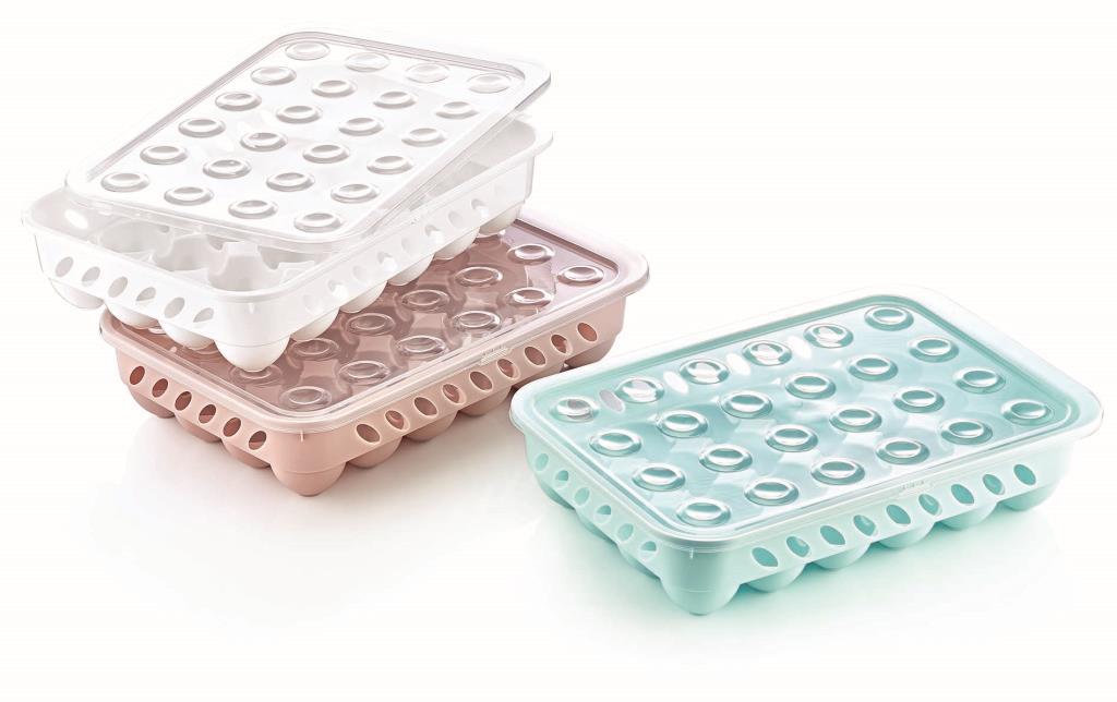 24 Grid Egg Tray with Lid