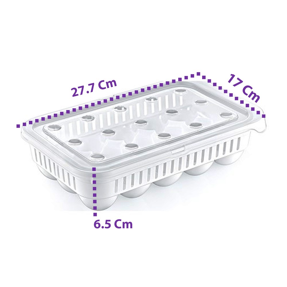 15 Grid Egg Tray with Lid