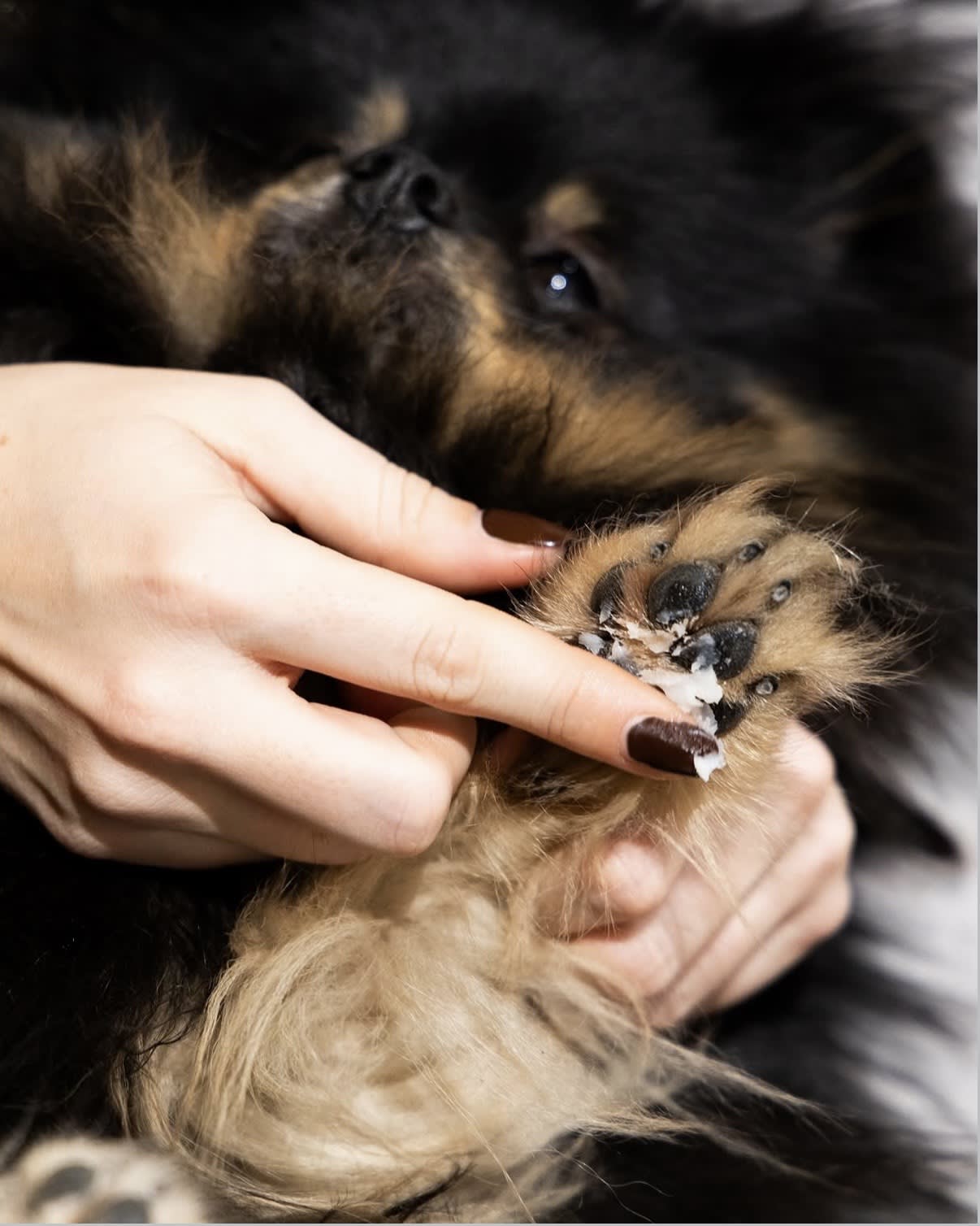 The Fur Love