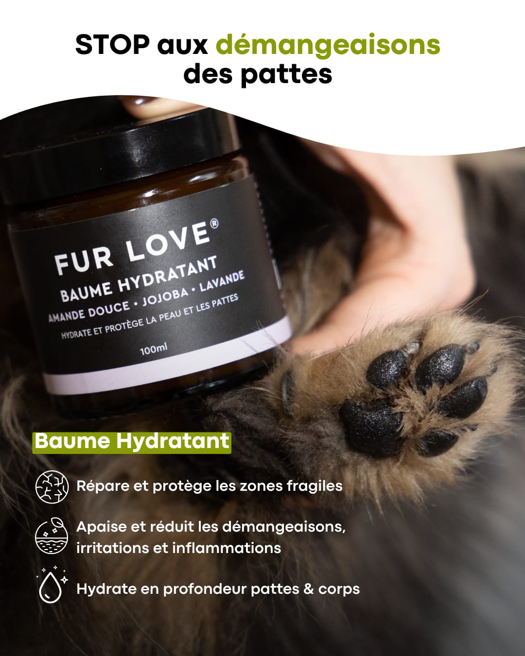 Paid content The Fur Love