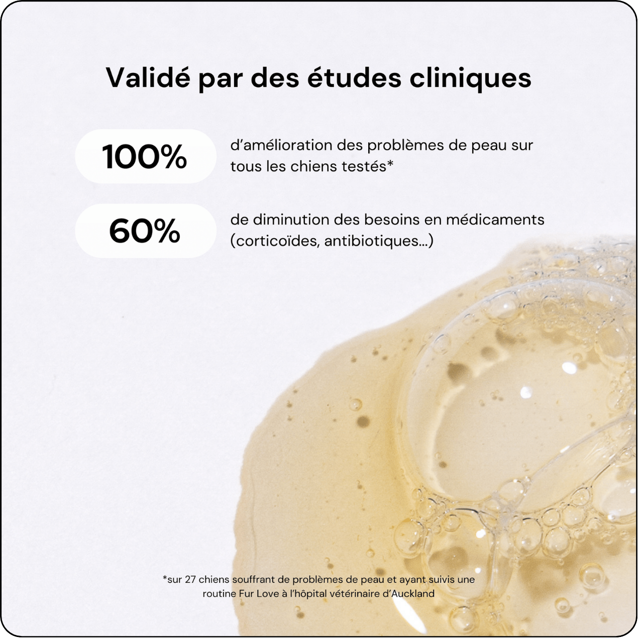 Optimisation de la réassurance sur une fiche produit Shopify The Fur Love