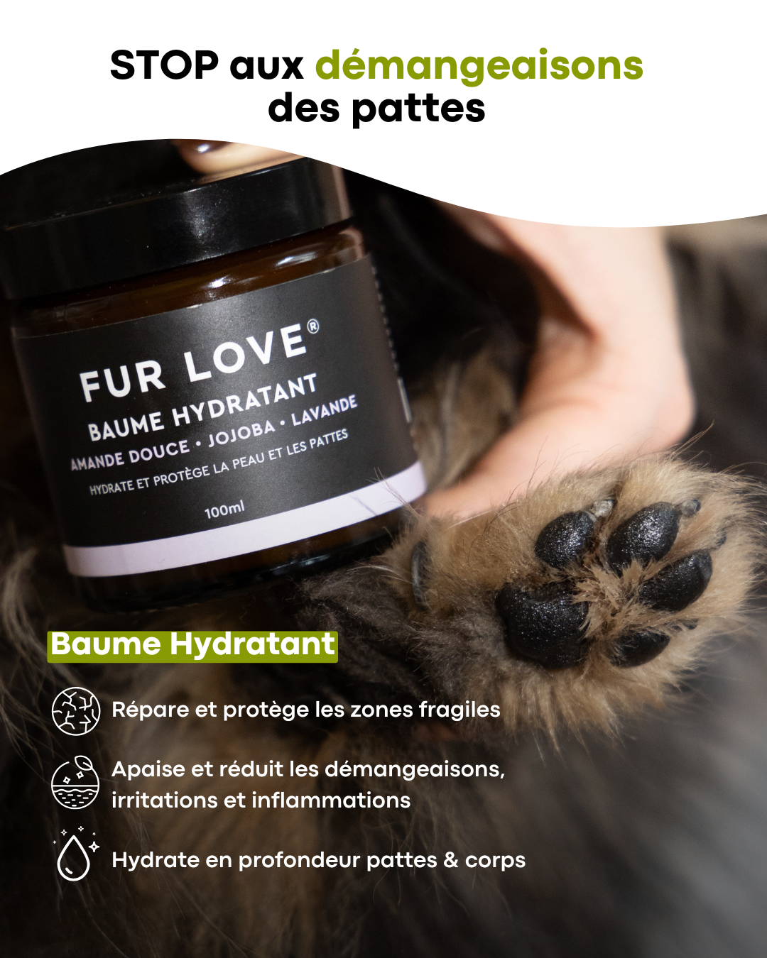 Créative publicitaire pour The Fur Love conçue pour Meta Ads