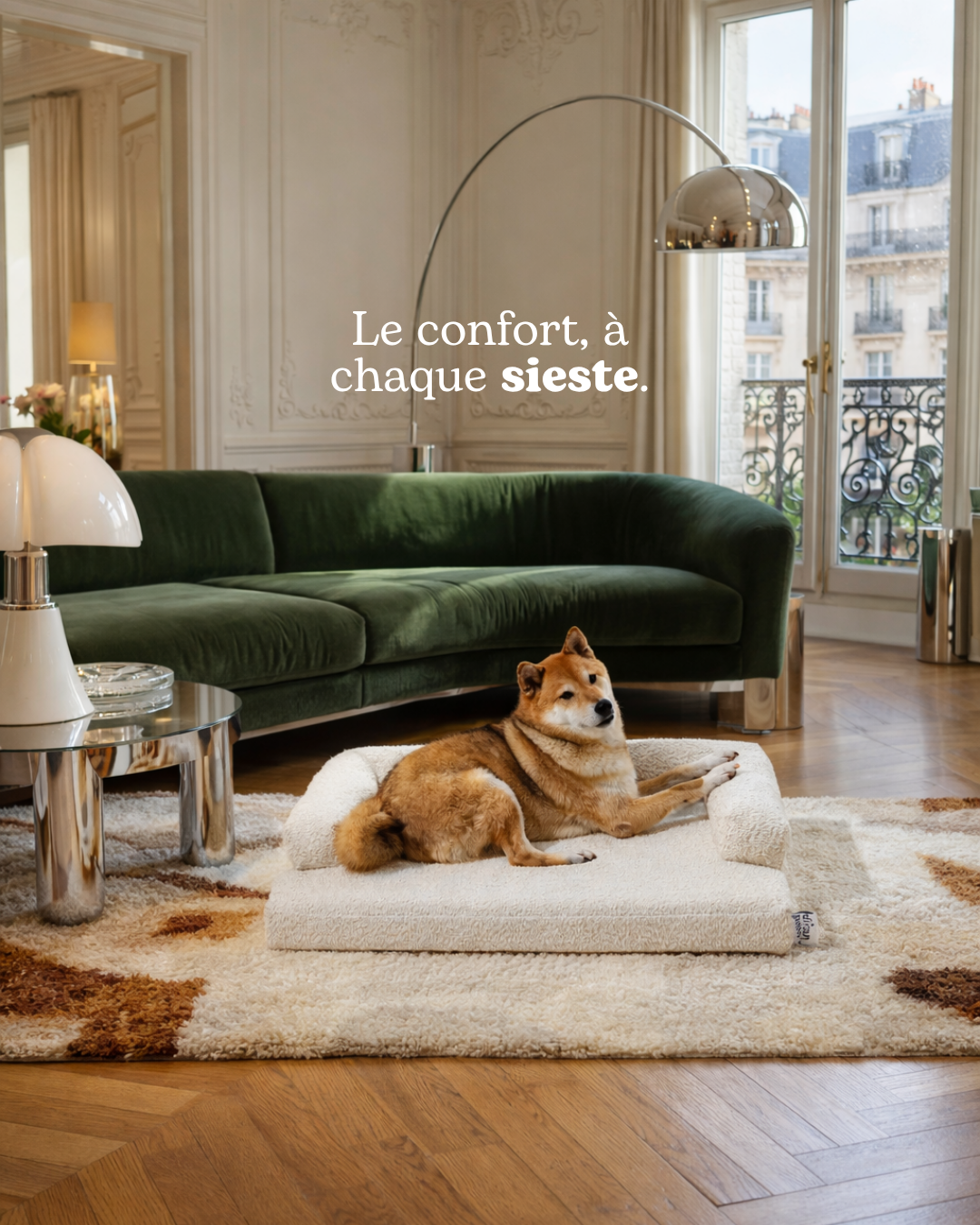 Création publicitaire Divan Poilu