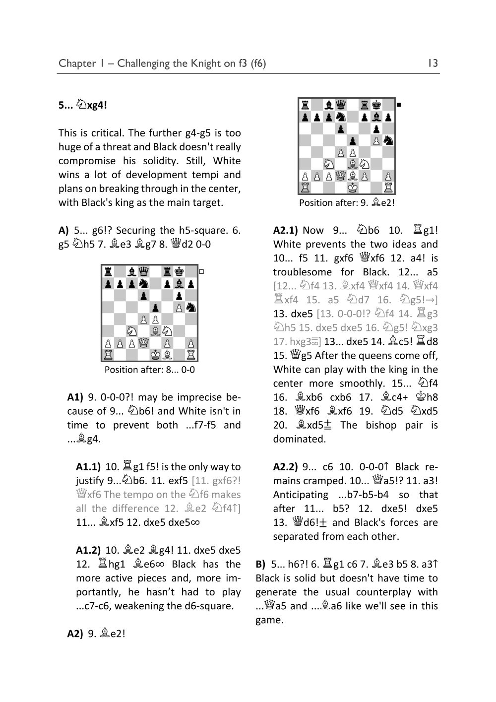 Sample page 13
