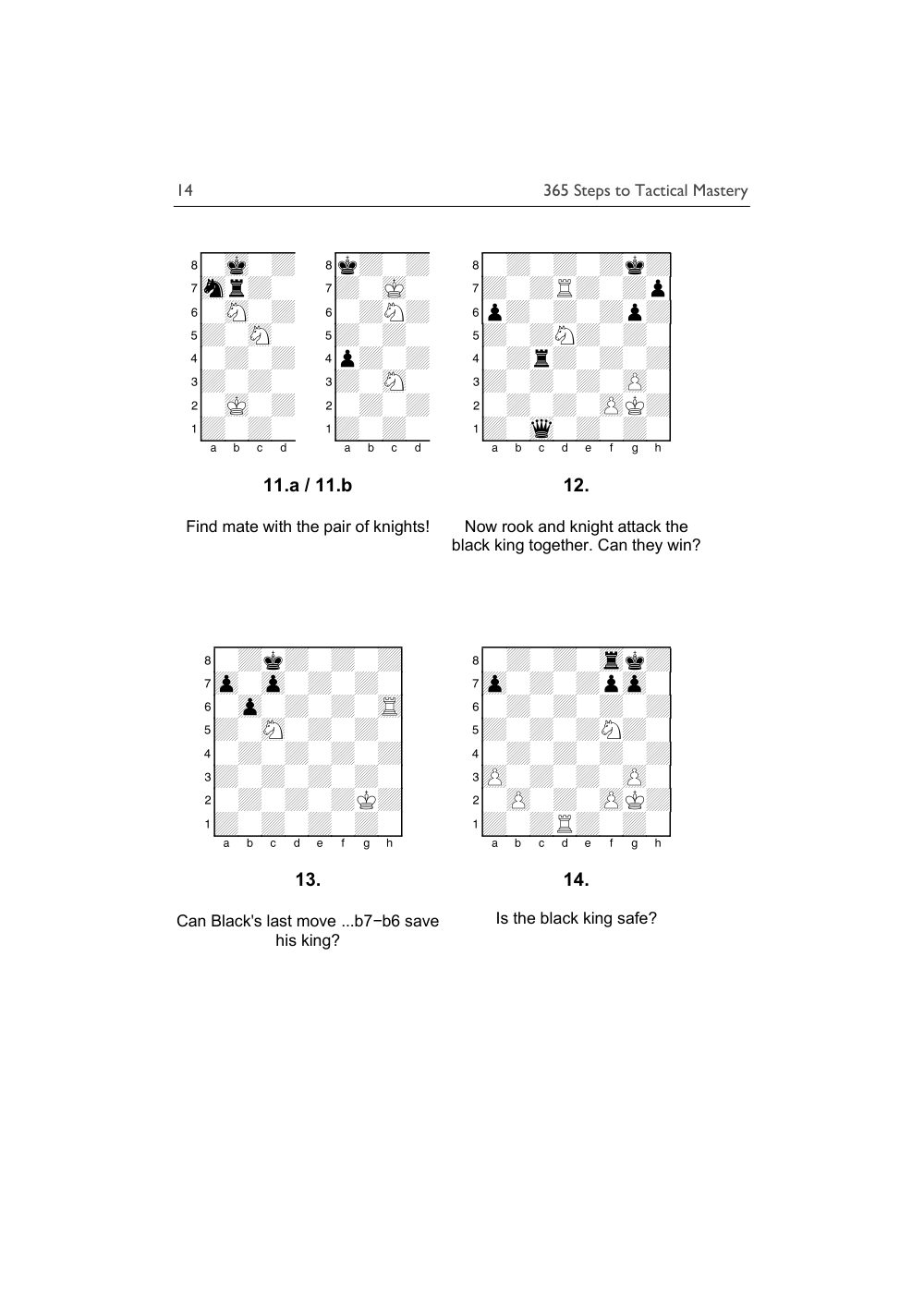 Sample page 13