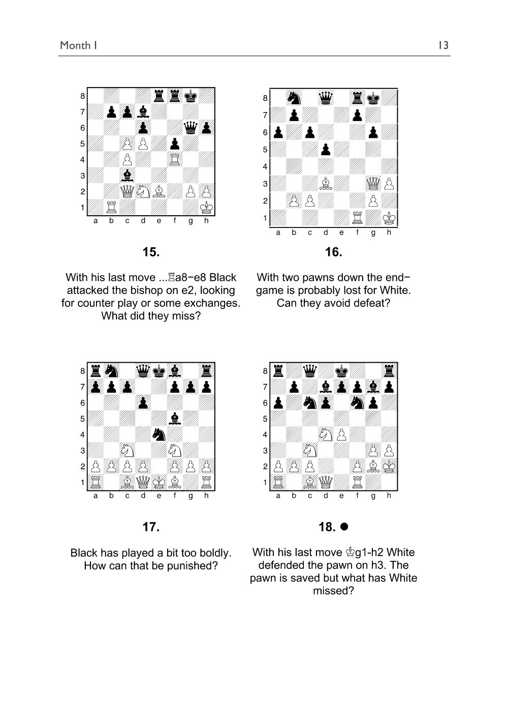 Sample page 13