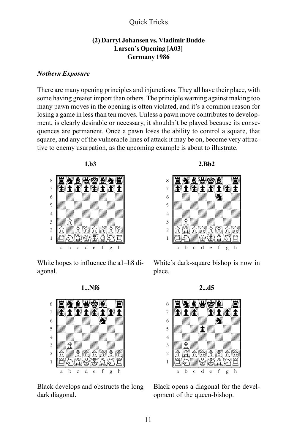 Sample page 11