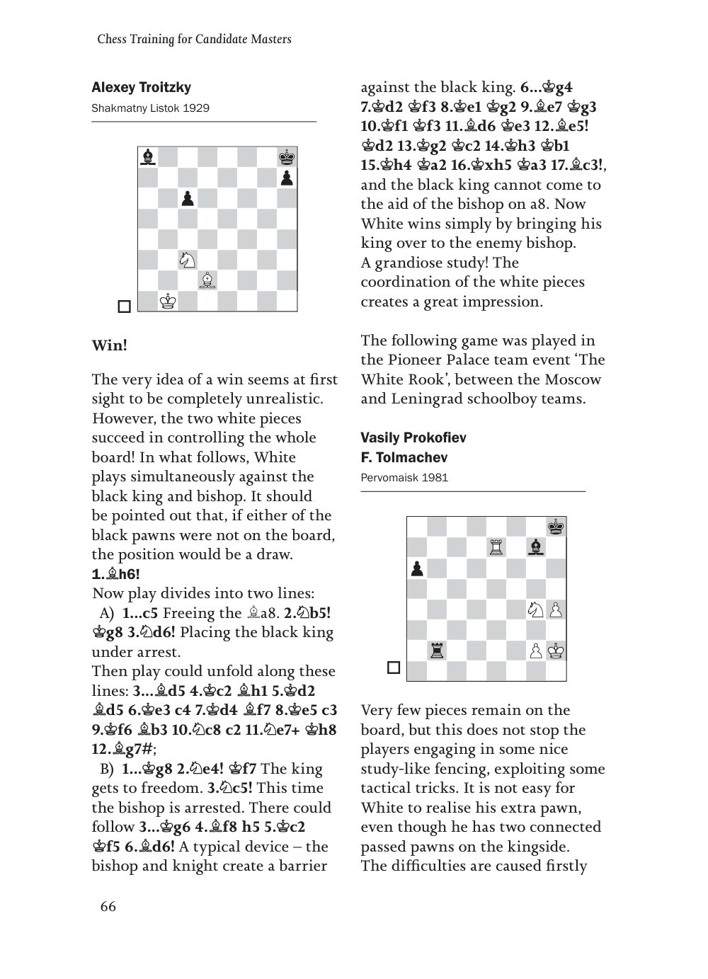 Sample page 13