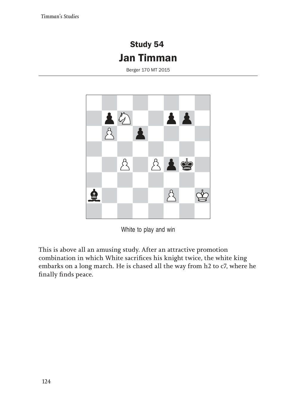 Sample page 13