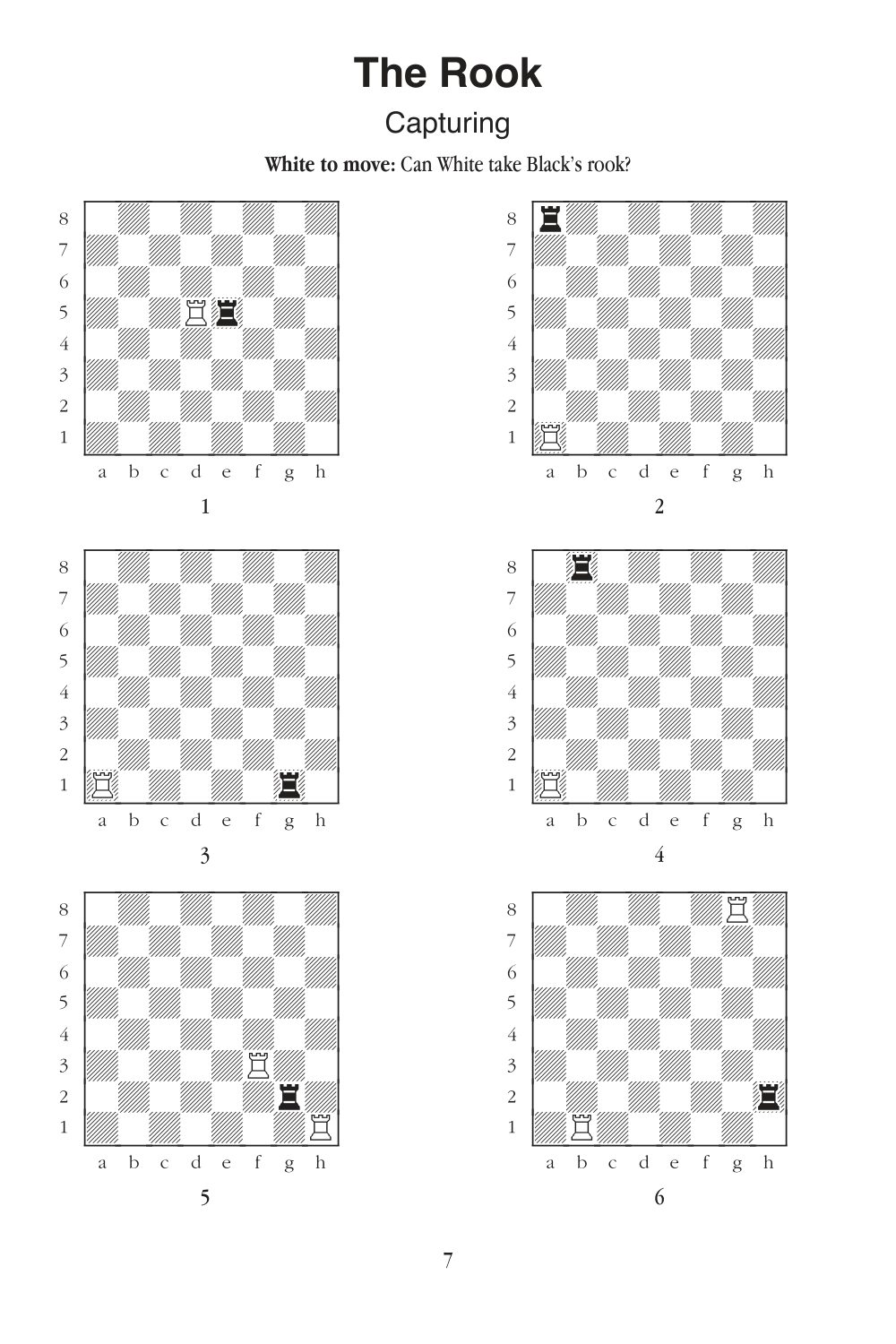 Sample page 5