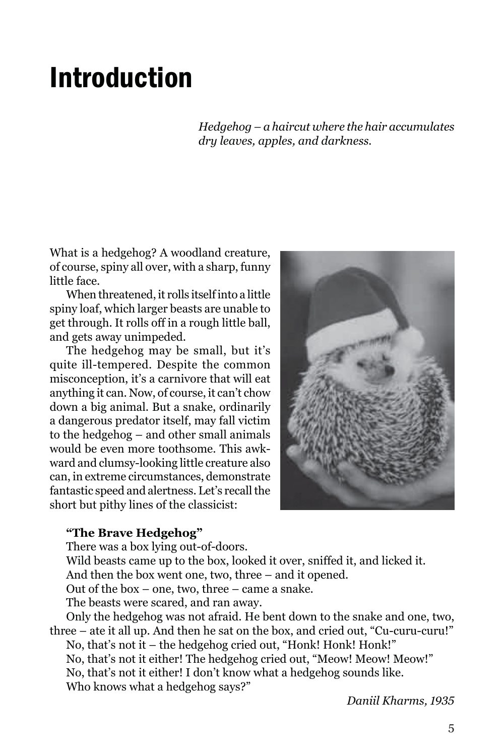 Sample page 5
