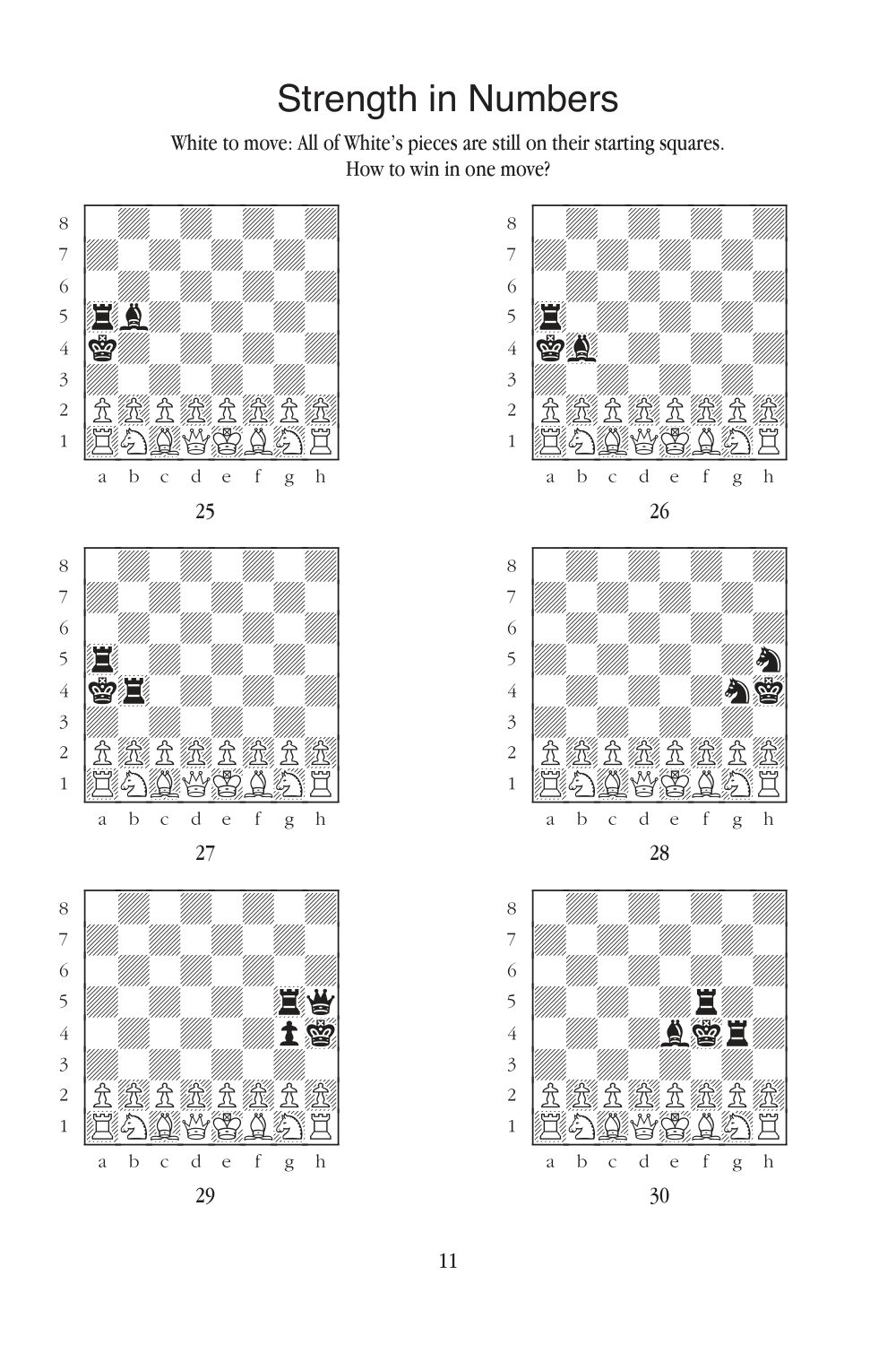 Sample page 8