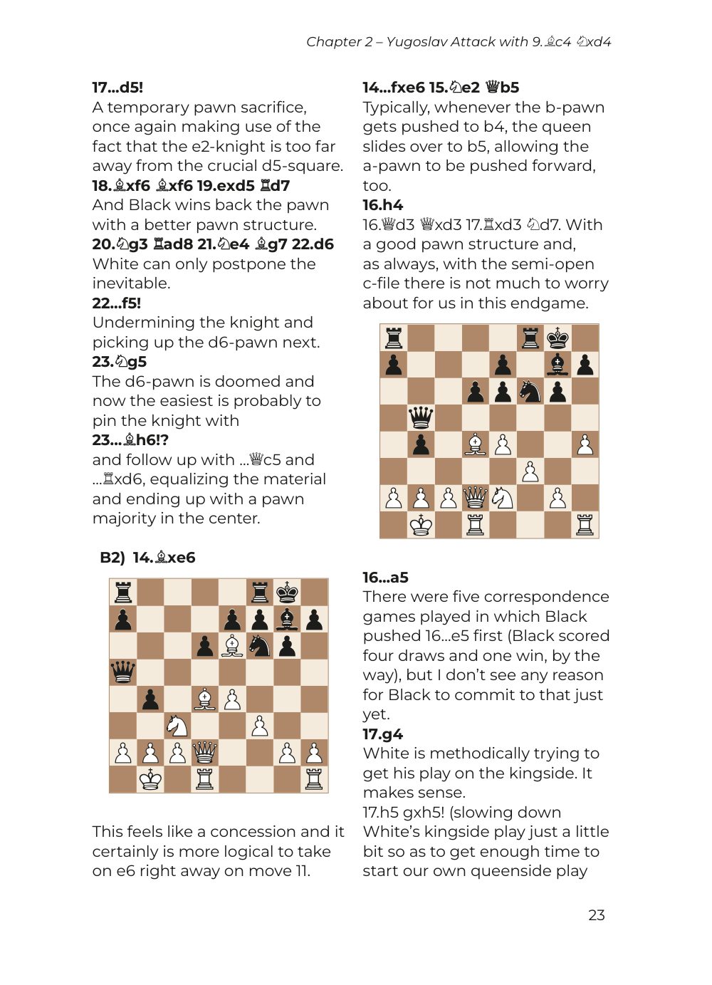 Sample page 13